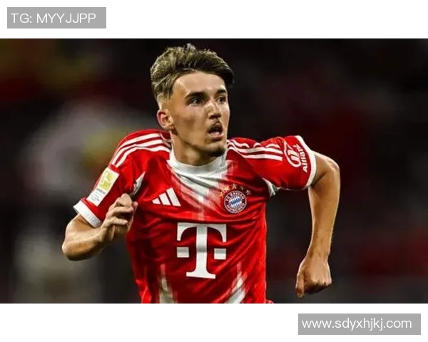 拜仁慕尼黑七号球星的传奇之路与辉煌成就解析