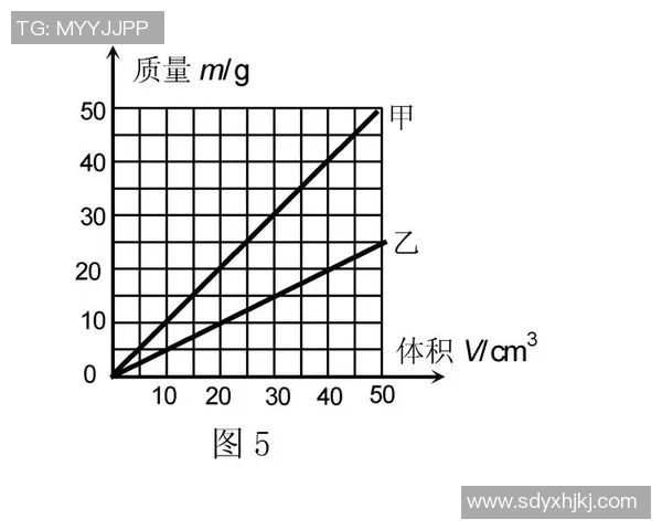 甲与乙的对决如何进行精准计算与分析方法探讨